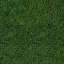 Grass (�����)