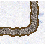 Gravel Road (��������� ������)